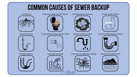FAQs • How should I deal with a sewer back.